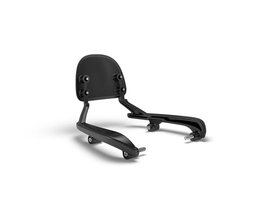 Passenger Backrest Mount - Meteor